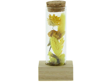 Dried Flowers - Single tube & wood