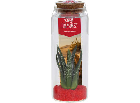 Tiny Treasurez® - Message in a bottle large