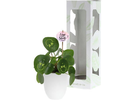 Smylieplant® - Love im Keramiktopf (large)