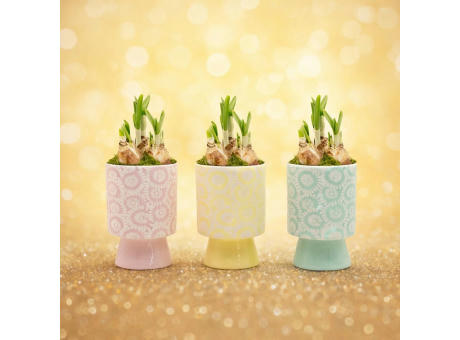 Easter colourful stand medium - Narzisse