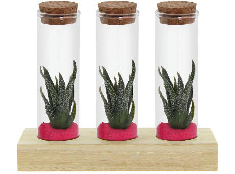 Tiny Treasurez® - Trio tube & wood