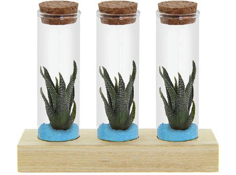 Tiny Treasurez® - Trio tube & wood