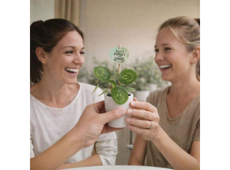 Smylieplant® - Happy im Keramiktopf (small)