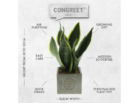 Congreet® plantpots large