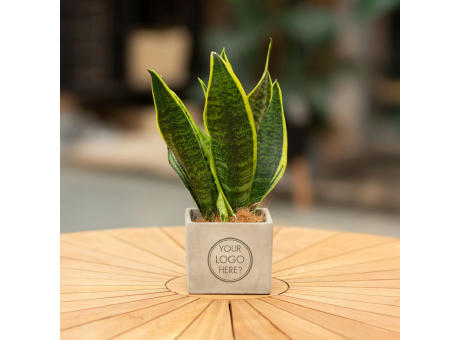 Congreet® plantpots large