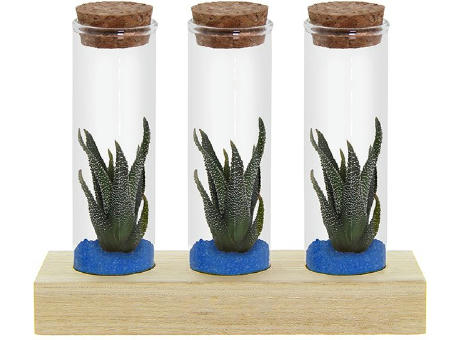 Tiny Treasurez® - Trio tube & wood