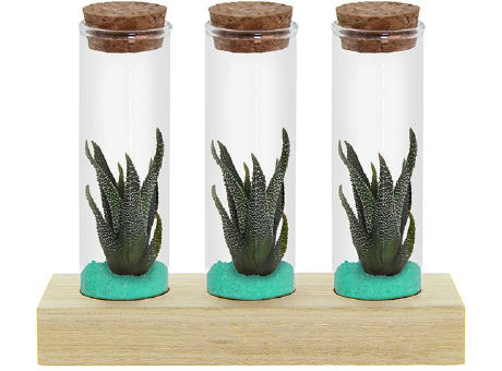 Tiny Treasurez® - Trio tube & wood