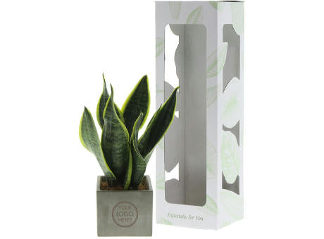 Congreet® plantpots large