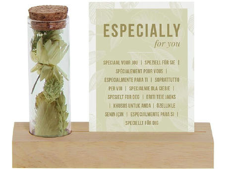 Dried Flowers - Cardholder & tube