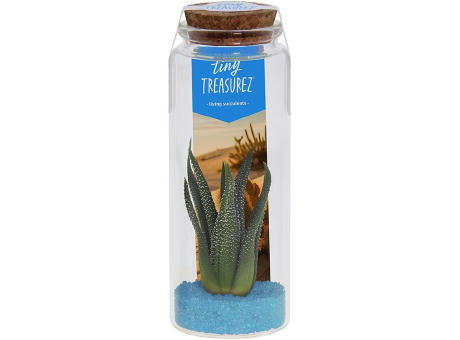 Tiny Treasurez® - Message in a bottle large