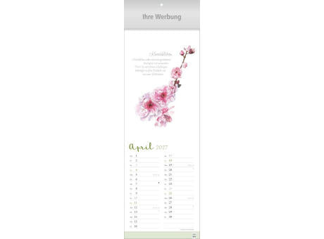 Herbarium