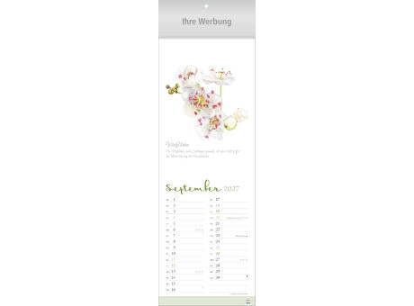 Herbarium