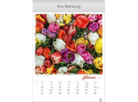 Blumen Arrangements