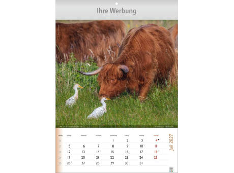 Wunderbare Tiere