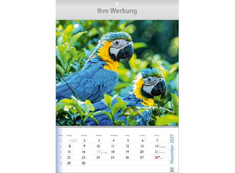Wunderbare Tiere