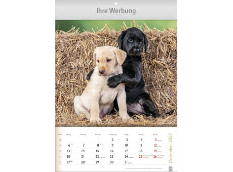 Wunderbare Tiere
