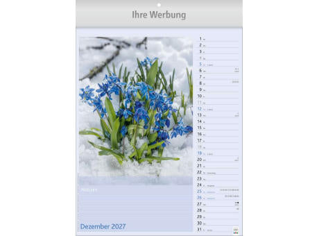 Blütenzauber