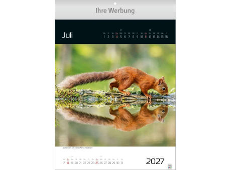 Spiegelwelten