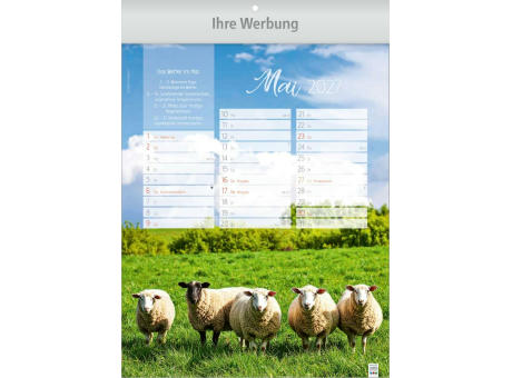 Jahreszeiten