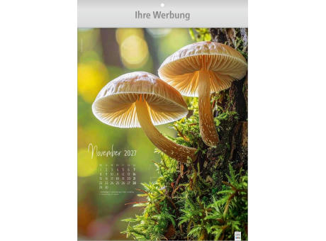 Natur ganz nah