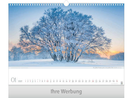 Leben pur