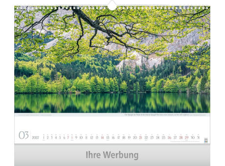 Leben pur