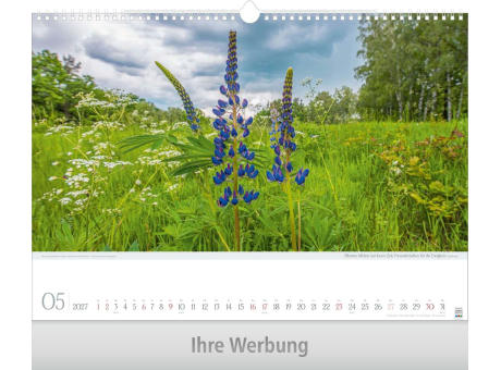 Leben pur