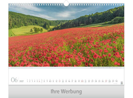 Leben pur