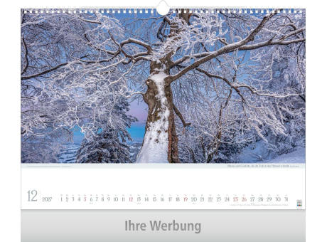 Leben pur