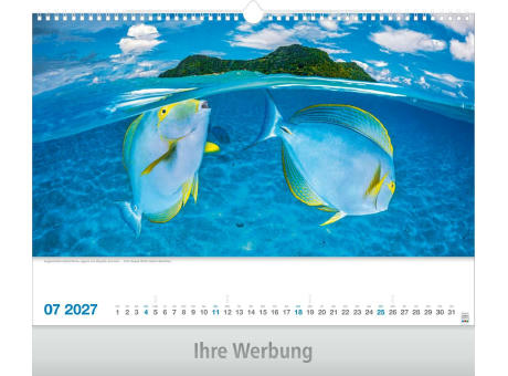 Lebendiges Wasser