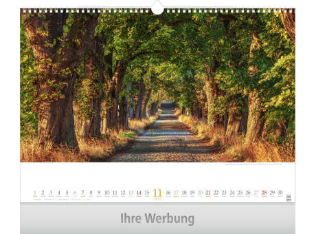 Wege mit Weitblick