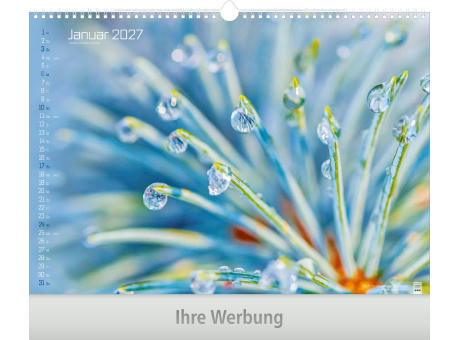 Tiefenschärfe