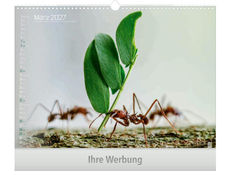 Tiefenschärfe