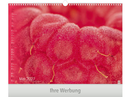 Tiefenschärfe
