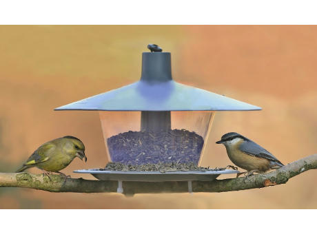 BIRDIE Vogel Futterhaus Made in Europe