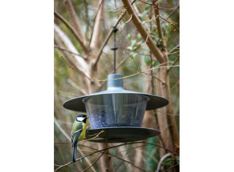 BIRDIE Vogel Futterhaus Made in Europe