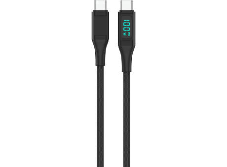 METER 100W Ladekabel mit Display