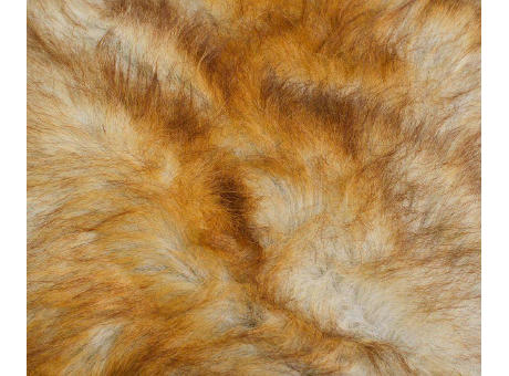 Fuchs Felloptik