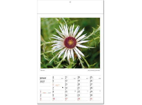 Kalender "Botanica" im Format 24 x 37,5 cm, mit Fälzel
