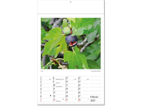 Kalender "Botanica" im Format 24 x 37,5 cm, mit Fälzel