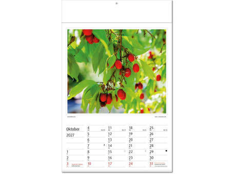 Kalender "Botanica" im Format 24 x 37,5 cm, mit Fälzel