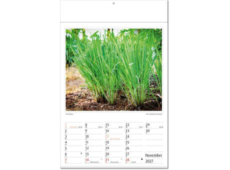 Kalender "Botanica" im Format 24 x 37,5 cm, mit Fälzel