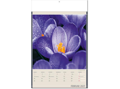 Kalender "Fundstücke der Natur" im Format 24 x 37,5 cm, mit Fälzel