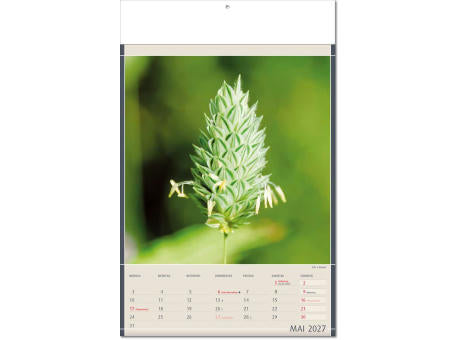 Kalender "Fundstücke der Natur" im Format 24 x 37,5 cm, mit Fälzel
