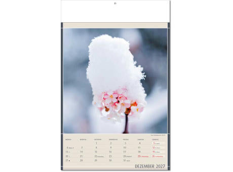 Kalender "Fundstücke der Natur" im Format 24 x 37,5 cm, mit Fälzel
