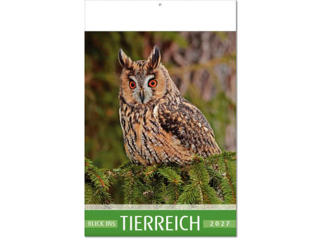 Kalender "Blick ins Tierreich" im Format 24 x 37,5 cm, mit Fälzel