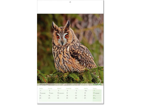 Kalender "Blick ins Tierreich" im Format 24 x 37,5 cm, mit Fälzel