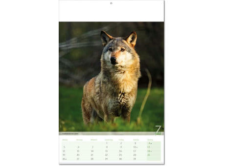 Kalender "Blick ins Tierreich" im Format 24 x 37,5 cm, mit Fälzel