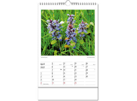 Kalender "Botanica" im Format 24 x 38,5 cm, mit Wire-O Bindung und verlängerter Rückwand