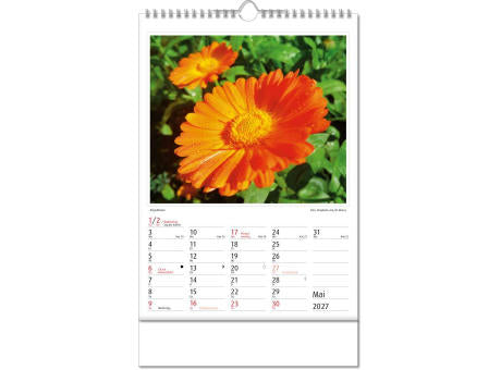 Kalender "Botanica" im Format 24 x 38,5 cm, mit Wire-O Bindung und verlängerter Rückwand